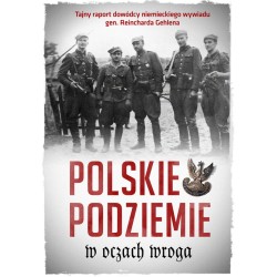 Polskie Podziemie w oczach...