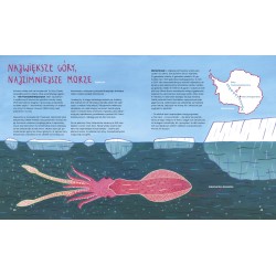 Antarktyda. Wyprawa na kraniec świata. Dominik Szczepański, Mateusz Waligóra, Joanna Czaplewska