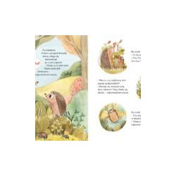 W brzozowym zagajniku: Jeż Hubert. Jadwiga Paszko