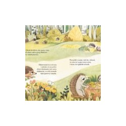 W brzozowym zagajniku: Jeż Hubert. Jadwiga Paszko