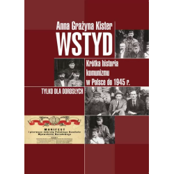 Wstyd. Krótka historia...