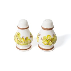 Ceramiczny Komplet: Solniczka i Pieprzniczka Fajans – Motyw Roślinny