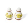 Ceramiczny Komplet: Solniczka i Pieprzniczka Fajans – Motyw Roślinny
