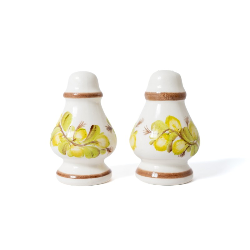 Ceramiczny Komplet: Solniczka i Pieprzniczka Fajans – Motyw Roślinny