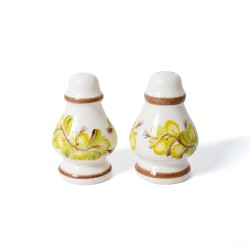 Ceramiczny Komplet: Solniczka i Pieprzniczka Fajans – Motyw Roślinny